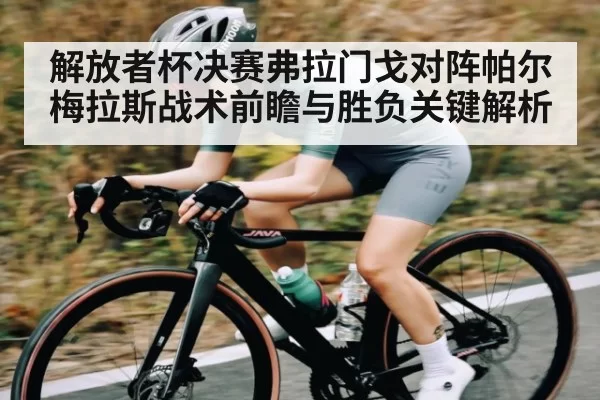 解放者杯决赛弗拉门戈对阵帕尔梅拉斯战术前瞻与胜负关键解析
